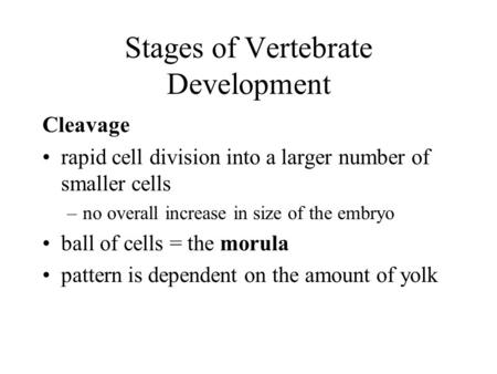 Stages of Vertebrate Development Cleavage rapid cell division into a larger number of smaller cells –no overall increase in size of the embryo ball of.