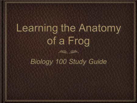 Learning the Anatomy of a Frog Biology 100 Study Guide.