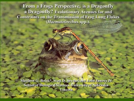 From a Frogs Perspective, is a Dragonfly a Dragonfly? Evolutionary Avenues for and Constraints on the Transmission of Frog Lung Flukes (Haematoloechus.