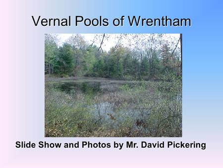 Vernal Pools of Wrentham Slide Show and Photos by Mr. David Pickering.