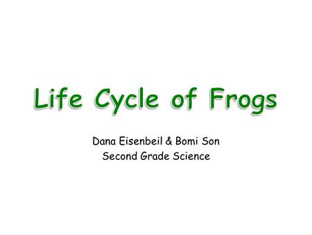 Dana Eisenbeil & Bomi Son Second Grade Science Frogs are amphibians – Cold blooded animals – Gills to lungs Metamorphism Life Cycle of Frogs – Egg –