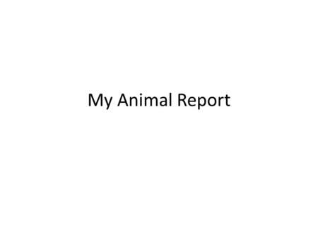 My Animal Report. YOUR Intro Q: what animal is only 2-3 cm. long? What animal has red eyes?