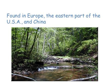 Temperate Deciduous Forest Found in Europe, the eastern part of the U.S.A., and China.