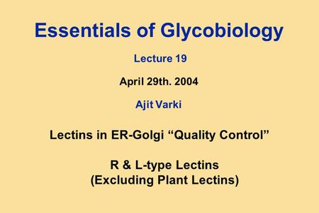 Essentials of Glycobiology Lecture 19 April 29th. 2004 Ajit Varki Lectins in ER-Golgi “Quality Control” R & L-type Lectins (Excluding Plant Lectins)