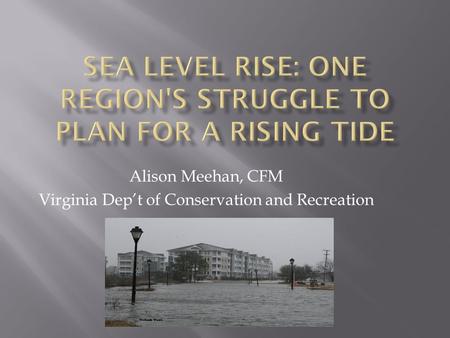 Alison Meehan, CFM Virginia Dep’t of Conservation and Recreation.