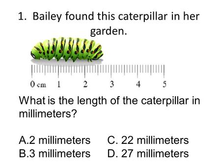 1. Bailey found this caterpillar in her garden. What is the length of the caterpillar in millimeters? A.2 millimetersC. 22 millimeters B.3 millimetersD.