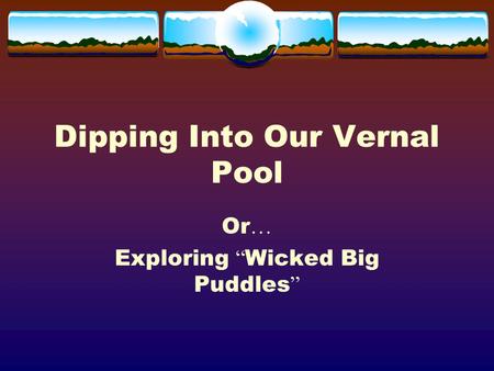 Dipping Into Our Vernal Pool Or … Exploring “ Wicked Big Puddles ”