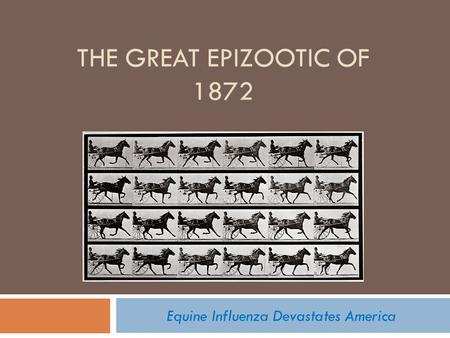 THE GREAT EPIZOOTIC OF 1872 Equine Influenza Devastates America.