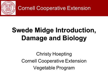 Swede Midge Introduction, Damage and Biology