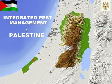 INTEGRATED PEST MANAGEMENT in PALESTINE. INTRODUCTION - Agriculture sector is considered one of the major productive sector in Palestine. - Scarcity of.