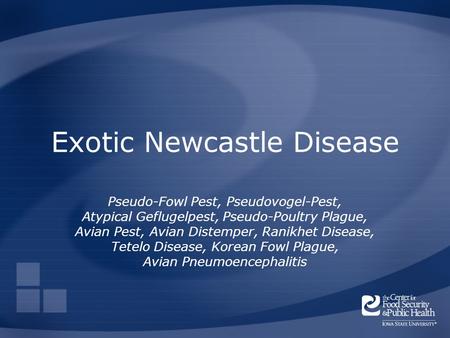 Exotic Newcastle Disease
