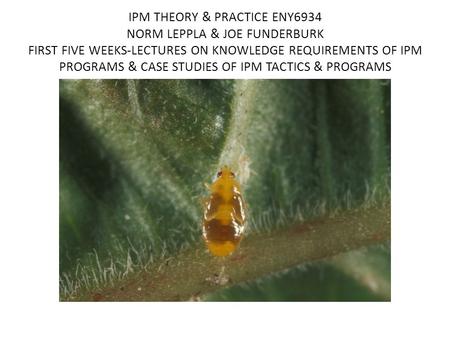 IPM THEORY & PRACTICE ENY6934 NORM LEPPLA & JOE FUNDERBURK FIRST FIVE WEEKS-LECTURES ON KNOWLEDGE REQUIREMENTS OF IPM PROGRAMS & CASE STUDIES OF IPM TACTICS.