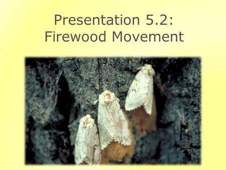 Presentation 5.2: Firewood Movement. Outline Invasive Species and Firewood Movement Preventing Firewood Movement.