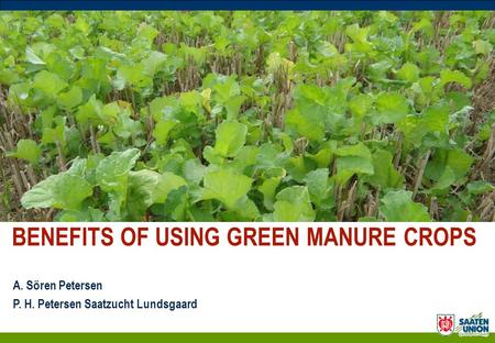 A. Sören Petersen P. H. Petersen Saatzucht Lundsgaard BENEFITS OF USING GREEN MANURE CROPS.