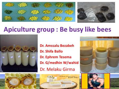 Apiculture group : Be busy like bees Dr. Amssalu Bezabeh Dr. Shifa Ballo Dr. Ephrem Tesema Dr. G/medhin W/wahid Dr. Melaku Girma.
