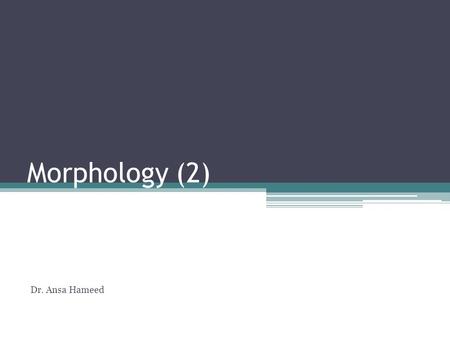 Morphology (2) Dr. Ansa Hameed.
