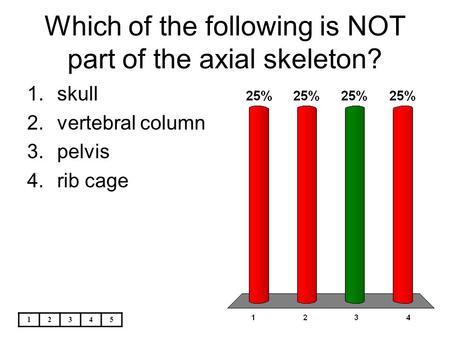 Which of the following is NOT part of the axial skeleton?