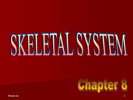 SKELETAL SYSTEM Chapter 8 Ahmad ata.