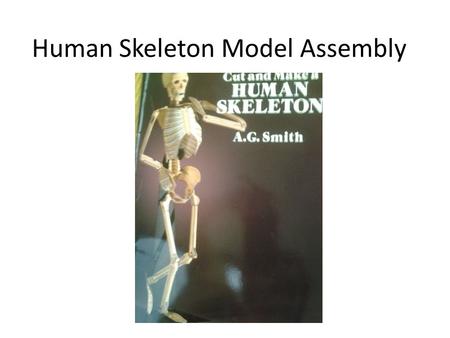Human Skeleton Model Assembly. 1. Label all the bones. Cut out and glue fronts and backs of hands, feet, pelvis, and shoulder blades together.