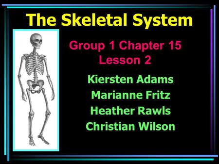 The Skeletal System Kiersten Adams Marianne Fritz Heather Rawls Christian Wilson Group 1 Chapter 15 Lesson 2.