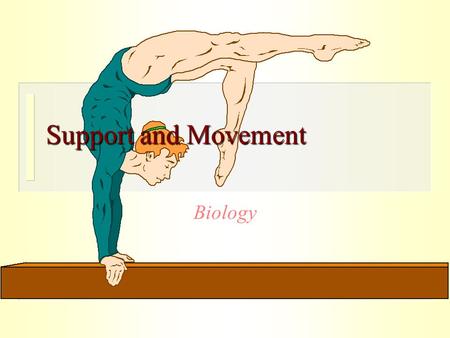 Support and Movement Biology 14.2Support in mammals in mammals skeleton muscularsystem.