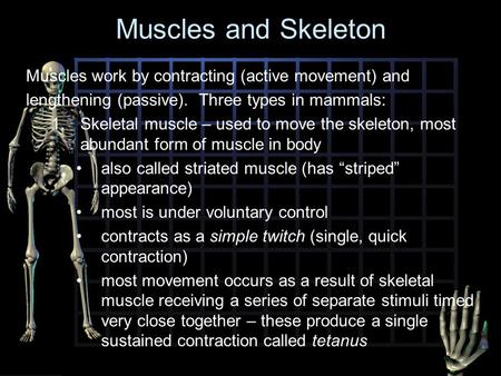 Muscles and Skeleton Muscles work by contracting (active movement) and lengthening (passive). Three types in mammals: 1.Skeletal muscle – used to move.