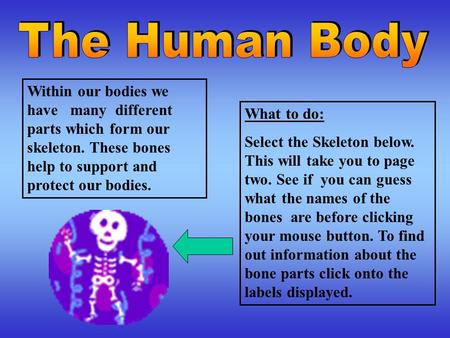 Within our bodies we have many different parts which form our skeleton. These bones help to support and protect our bodies. What to do: Select the Skeleton.