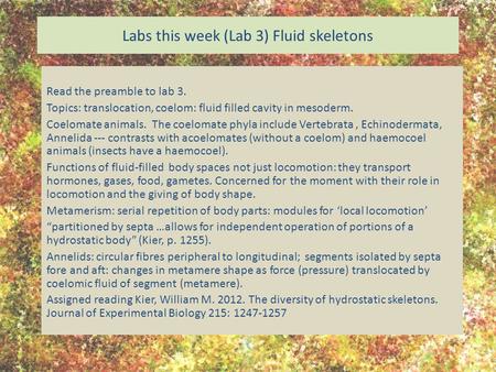 Labs this week (Lab 3) Fluid skeletons Read the preamble to lab 3. Topics: translocation, coelom: fluid filled cavity in mesoderm. Coelomate animals. The.