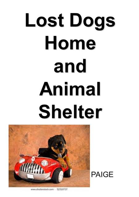 Lost Dogs Home and Animal Shelter PAIGE. I WONDER... What to do if you lose a pet? Where the pound is? Where the lost dogs home is? How I can help?