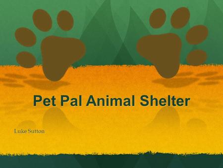Pet Pal Animal Shelter Luke Sutton Mission To rescue dogs and cats from animal shelters that may otherwise be euthanized due to time limitations, illness,