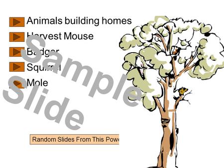 Random Slides From This PowerPoint Show Animals building homes Harvest Mouse Badger Squirrel Mole Sample Slide.