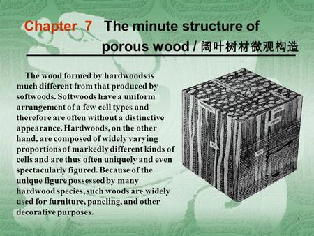 Chapter 7 The minute structure of porous wood / 阔叶树材微观构造