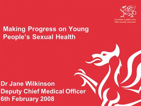 Making Progress on Young People’s Sexual Health Dr Jane Wilkinson Deputy Chief Medical Officer 6th February 2008.