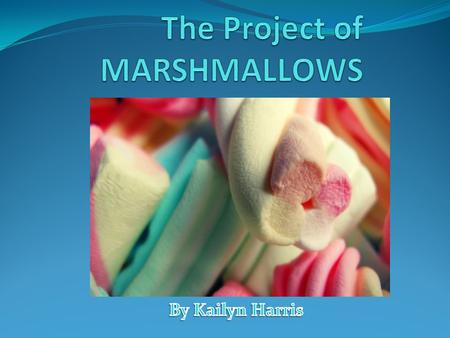 The Project of MARSHMALLOWS