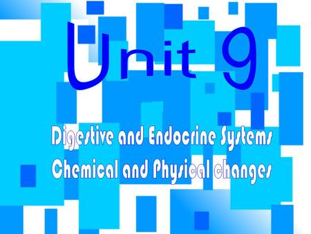 Digestive and Endocrine Systems Chemical and Physical changes