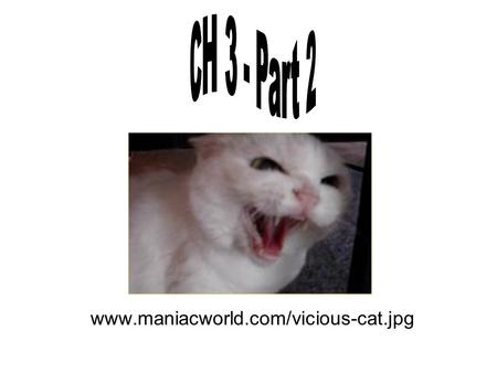 CH 3 - Part 2 www.maniacworld.com/vicious-cat.jpg.