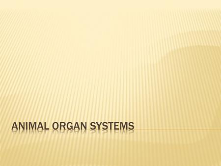 Animal Organ Systems.