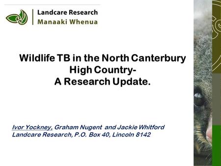 Wildlife TB in the North Canterbury High Country- A Research Update. Ivor Yockney, Graham Nugent and Jackie Whitford Landcare Research, P.O. Box 40, Lincoln.