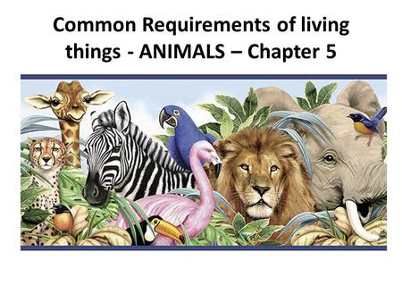 Common Requirements of living things - ANIMALS – Chapter 5.