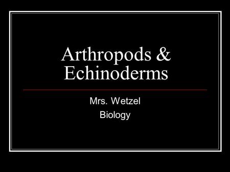 Arthropods & Echinoderms Mrs. Wetzel Biology. Review 6 Kingdoms …..Eukarya…Archaea…Protista….Fungi…..Plants….Animals.