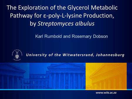 The Exploration of the Glycerol Metabolic Pathway for ε-poly-L-lysine Production, by Streptomyces albulus Karl Rumbold and Rosemary Dobson.
