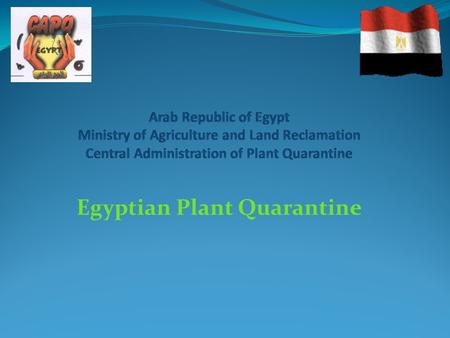 Egyptian Plant Quarantine