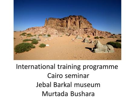 International training programme Cairo seminar Jebal Barkal museum Murtada Bushara.