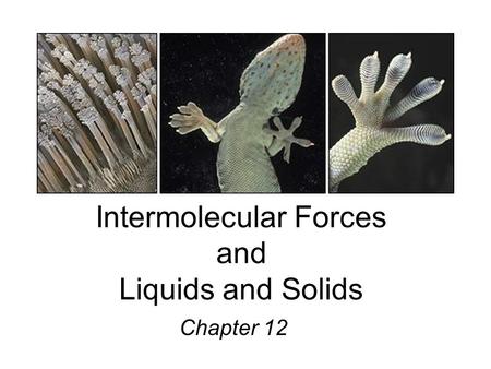 Intermolecular Forces and Liquids and Solids Chapter 12.