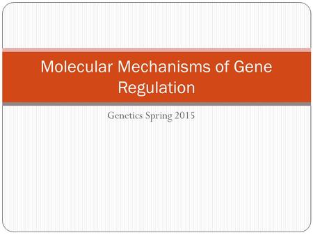 Genetics Spring 2015 Molecular Mechanisms of Gene Regulation.