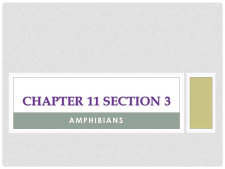 Chapter 11 Section 3 Amphibians.