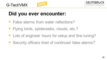  False alarms from water reflections?  Flying birds, spiderwebs, clouds, etc.?  Lots of engineer hours for setup and fine tuning?  Security officers.