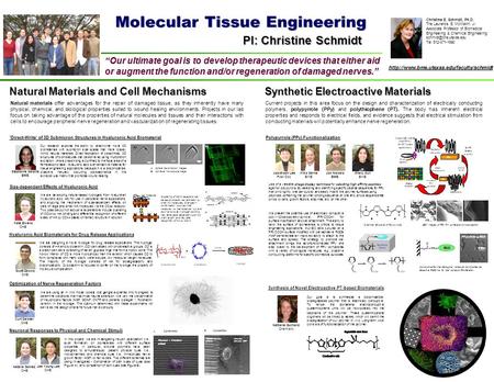Molecular Tissue Engineering “Our ultimate goal is to develop therapeutic devices that either aid or augment the function and/or regeneration of damaged.