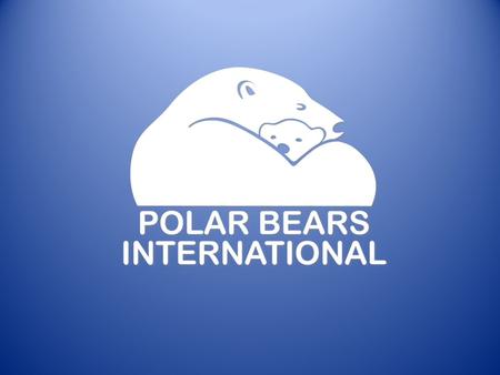 Polar Bear Research Why do scientists study polar bears?