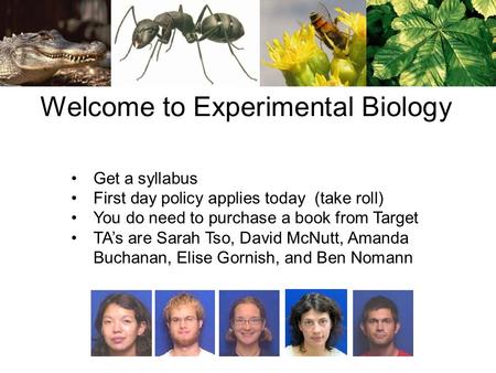 Welcome to Experimental Biology Get a syllabus First day policy applies today (take roll) You do need to purchase a book from Target TA’s are Sarah Tso,